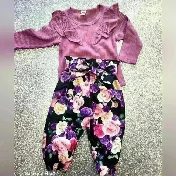 Bnwot 6 to 12 month 2 piece  floral pant set - Picture 1 of 4